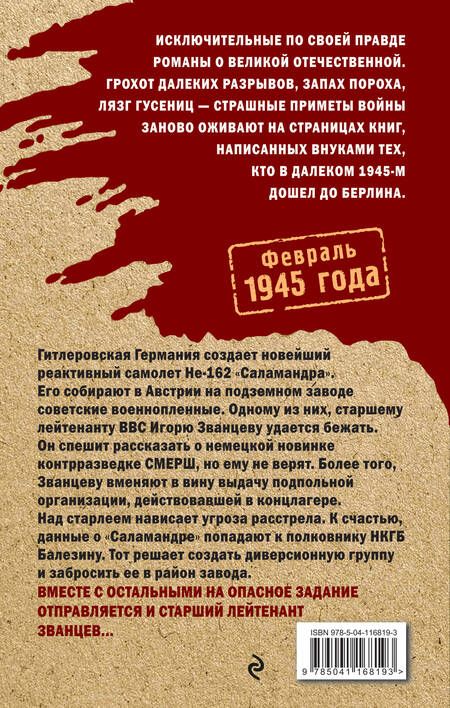 Фотография книги "Владимир Каржавин: Небесные мстители"