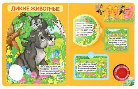 Фотография книги "Владимир Степанов: Загадки о животных. Книжка с окошками"