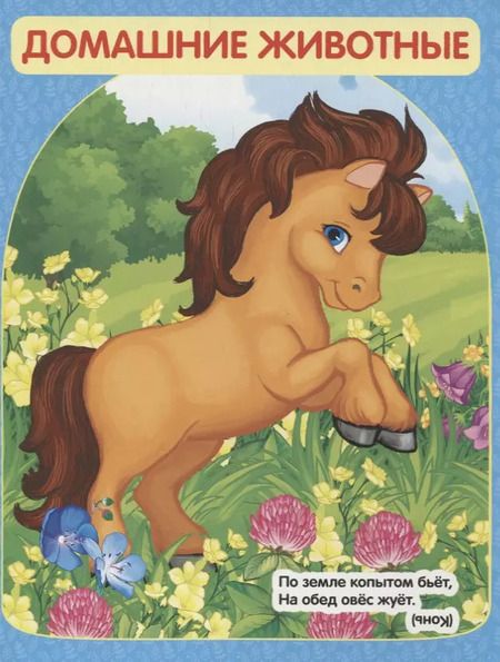 Фотография книги "Владимир Степанов: Загадки о животных"