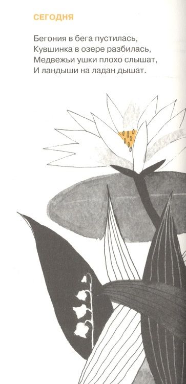 Фотография книги "Яснов: День дождения "