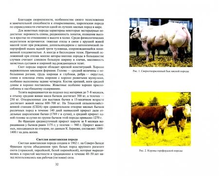 Фотография книги "Егор Лебедько: Мясные породы крупного рогатого скота. Учебное пособие"