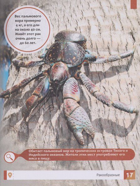 Фотография книги "Елена Александровна: Необычные животные: энциклопедия"