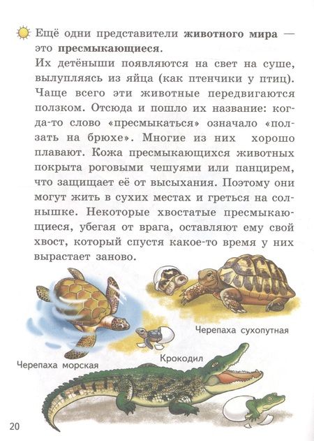Фотография книги "Елена Бортникова: Мир вокруг нас (5-6 лет)"