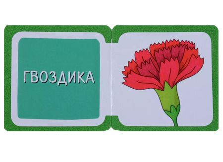 Фотография книги "Елена Куликова: Мини-книжки ЭВА. Что здесь растёт? На клумбе"