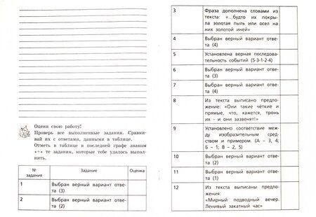 Фотография книги "Елена Матвеева: Литературное чтение. 3 класс. Тетрадь для тренировки и самопроверки. ФГОС"