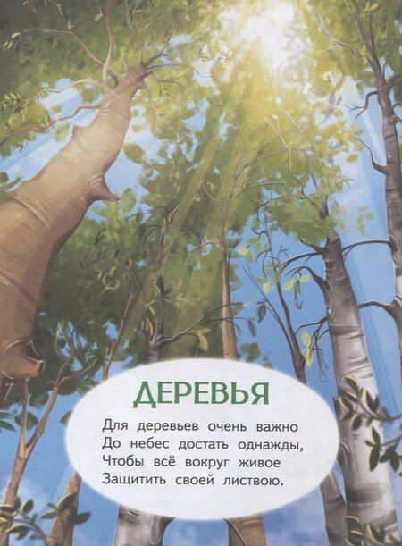 Фотография книги "Елена Петухова: Что растёт в лесу? Стихи для детей"