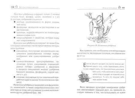 Фотография книги "Елена Шкитина: Богатый урожай овощей"