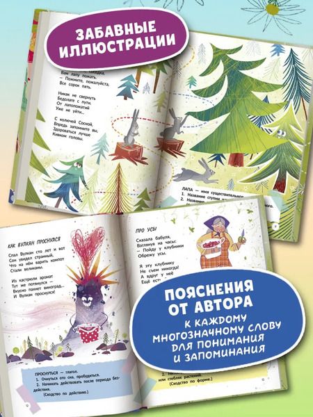 Фотография книги "Елена Степанова: Многозначные слова - это вам не дважды два!"