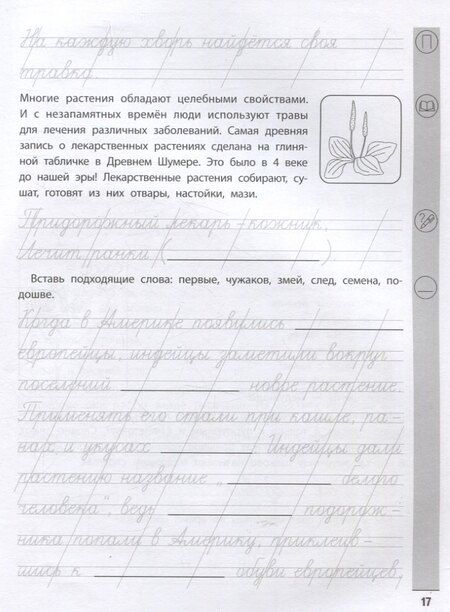 Фотография книги "Елена Субботина: Тренажер по чтению и письму. 2 класс. Занимательно о природе"