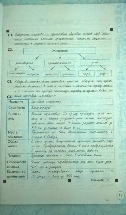 Фотография книги "Елена Языканова: Метапредметная диагностическая работа. 4 класс. Типовые задания. 10 вариантов. ФГОС"