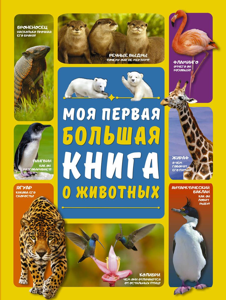 Обложка книги "Ермакович, Вайткене: Моя первая большая книга о животных"