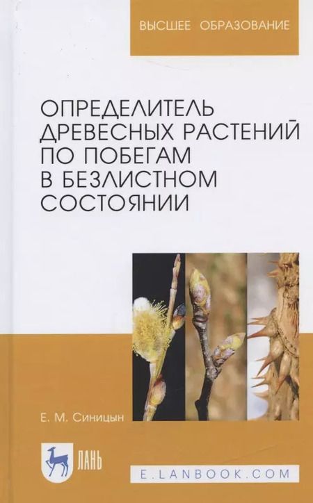 Фотография книги "Евгений Синицын: Определитель древесных растений по побегам в безлистном состоянии. Учебное пособие"