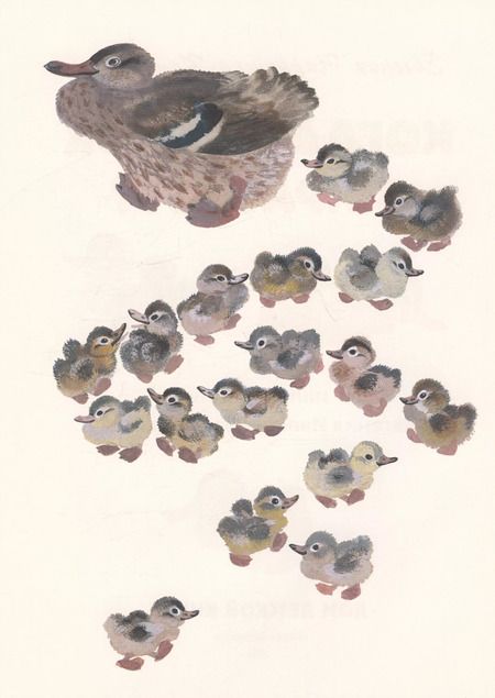 Фотография книги "Евгения Чарушина-Капустина: Когда утёнок вырастет?"