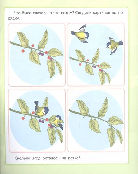 Фотография книги "Евгения Ищук: Цифры и счет. Сборник развивающих заданий для детей от 4 лет"