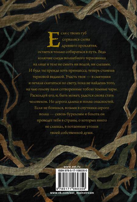 Фотография книги "Евгения Спащенко: Терновая ведьма. Изольда"