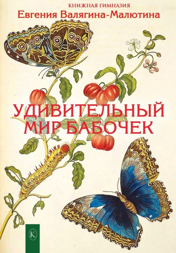 Обложка книги "Евгения Валягина-Малютина: Удивительный мир бабочек"