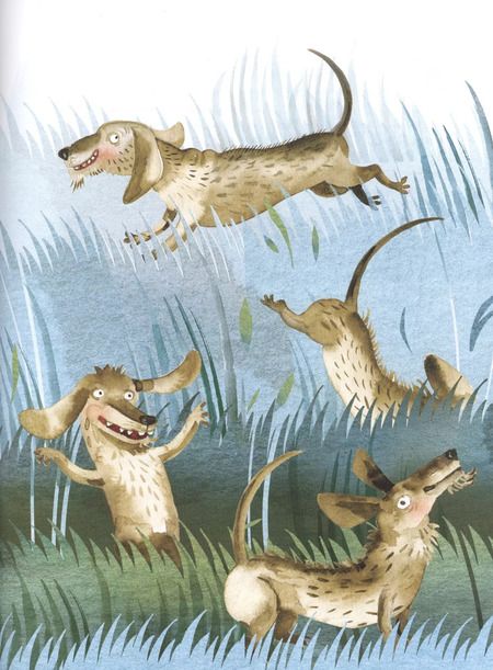 Фотография книги "Ежи Влязло: Глупый Фуня"