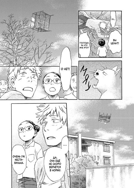 Фотография книги "Юки Урусибара: Когда кот смотрит на запад. Том 2"