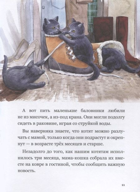 Фотография книги "Юлиана Протасова: Приключения кота Альфреда"