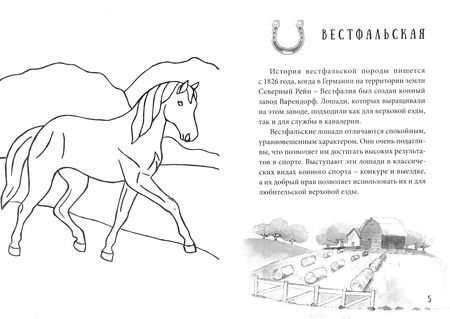 Фотография книги "Юлия Адалева: Породы лошадей"