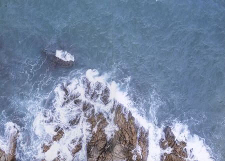 Фотография книги "Юлия Арниева: Стальной цветок долины"
