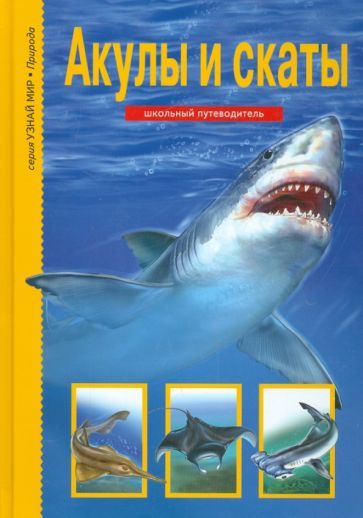 Обложка книги "Юлия Дунаева: Акулы и скаты"