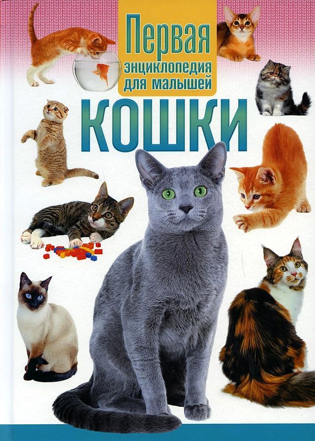 Обложка книги "Юлия Феданова: Кошки. Первая энциклопедия для малышей"