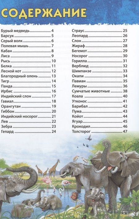 Фотография книги "Юлия Феданова: Животные мира"