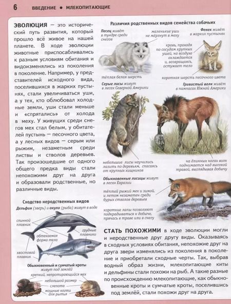 Фотография книги "Юлия Школьник: Животные. Панорама нужных знаний"