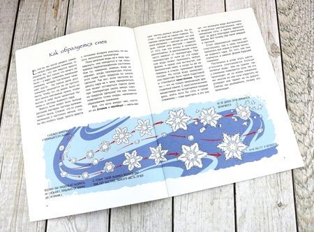 Фотография книги "Юлия Смирнова: История снежинки, или Чудо на рукавице"