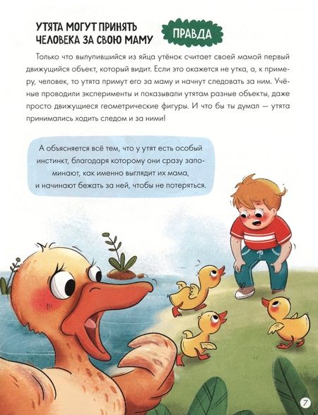 Фотография книги "Юлия Соколова: А это правда?"
