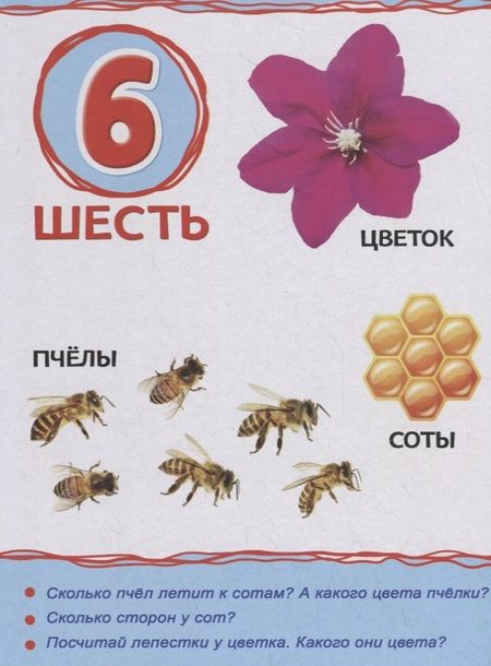 Фотография книги "Юлия Соколова: Цифры для малышей"