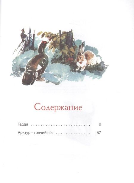 Фотография книги "Юрий Казаков: Арктур - гончий пёс: рассказы"
