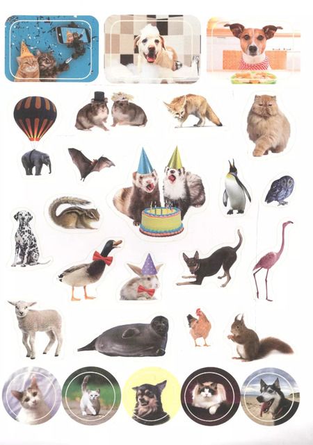 Фотография книги "Забавные животные"