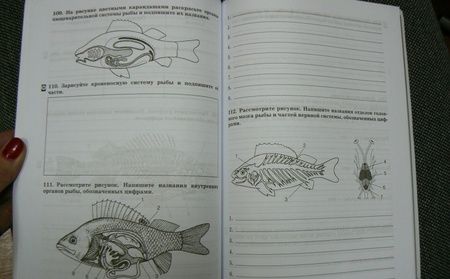 Фотография книги "Захаров, Сонин: Биология. 8 класс. Многообразие живых организмов. Животные. Рабочая тетрадь. ФГОС"
