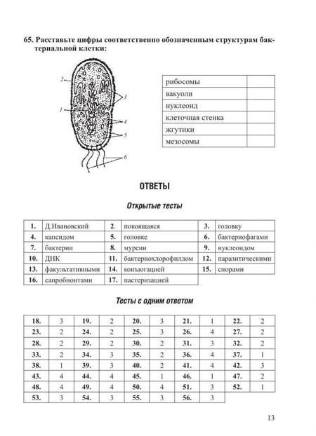 Фотография книги "Заяц, Бутвиловский, Давыдов: Биология. Типовые тестовые задания с ответами и объяснениями"