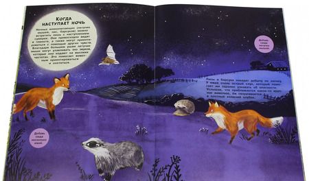 Фотография книги "Заяц, ёжик, крот и прочий звериный народ"