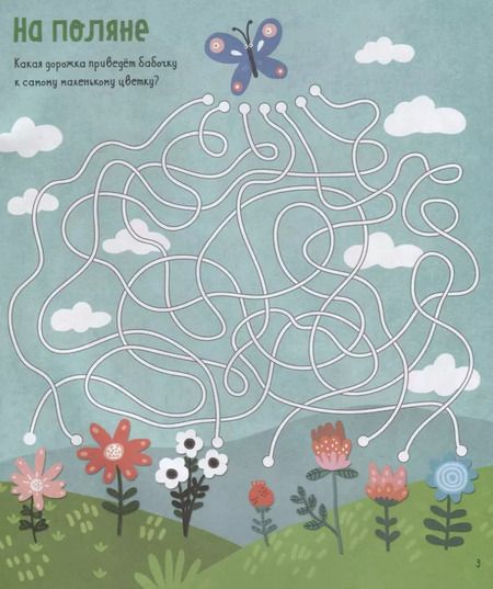 Фотография книги "Женя Кошечкина: Лабиринты для ловких и сообразительных"