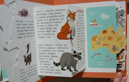 Фотография книги "Животные. Книга с объёмными фигурками"