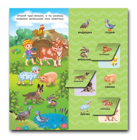 Фотография книги "Животные"