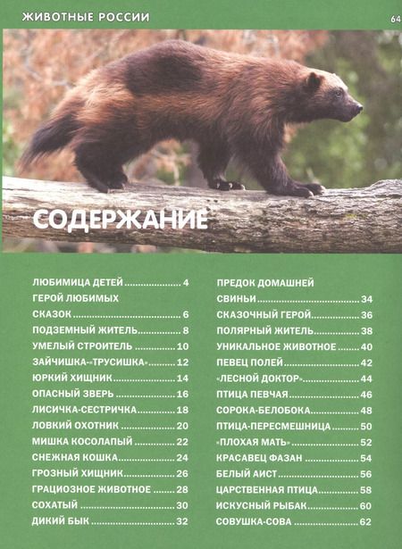Фотография книги "Животные России. Детская энциклопедия"