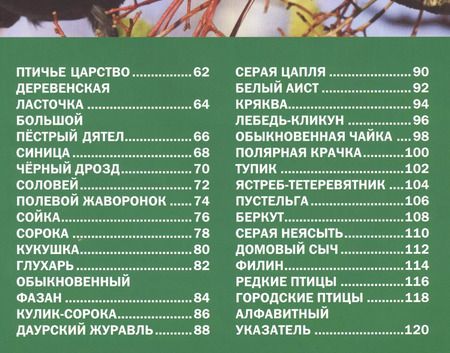 Фотография книги "Животные России.Иллюстрированная детская энциклопедия"