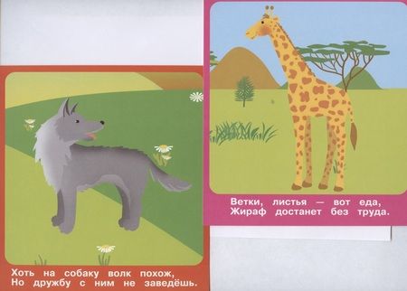 Фотография книги "Животные в зоопарке. Набор развивающих карточек"