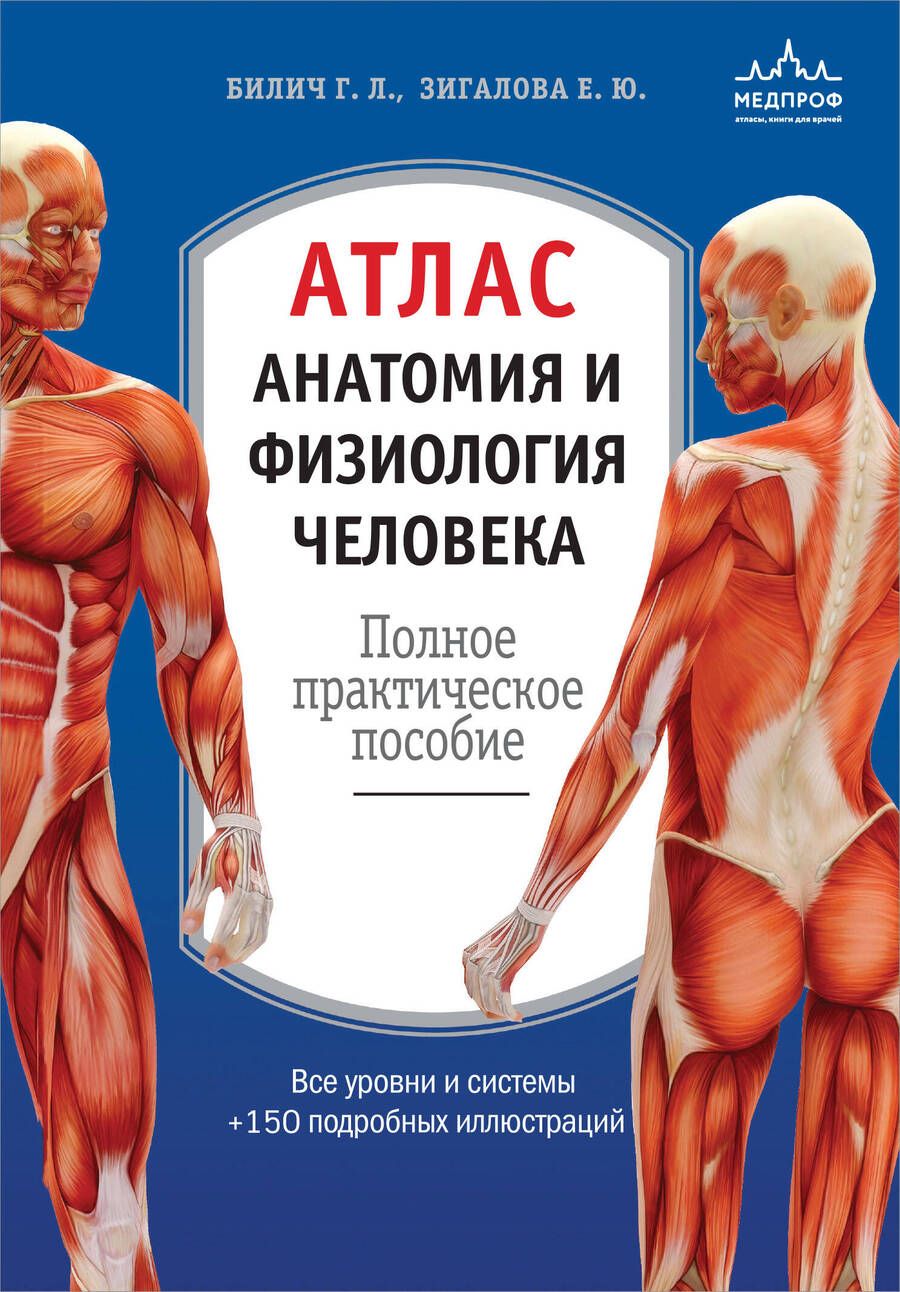 Обложка книги "Зигалова, Билич: Атлас. Анатомия и физиология человека: полное практическое пособие. 2-е издание, дополненное"