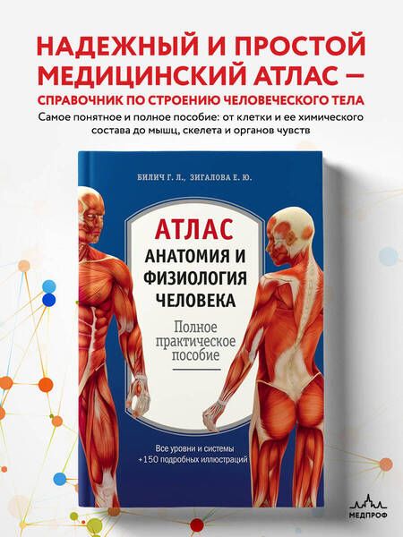Фотография книги "Зигалова, Билич: Атлас. Анатомия и физиология человека: полное практическое пособие. 2-е издание, дополненное"