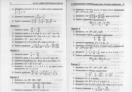 Фотография книги "Зив, Гольдич: Алгебра. 8 класс. Дидактические материалы"