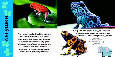 Фотография книги "Зоопарк"