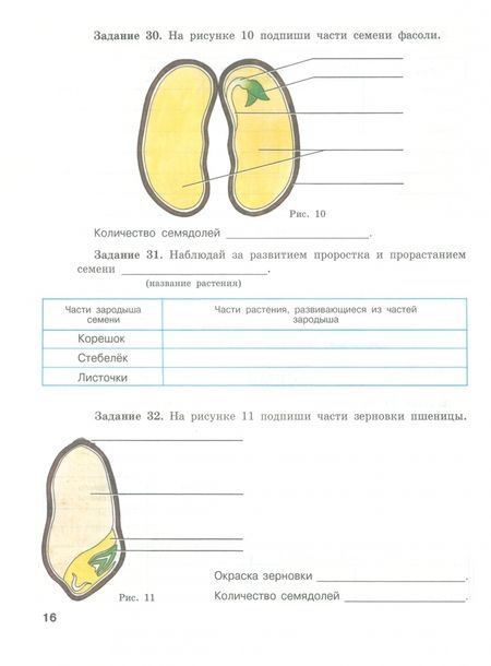 Фотография книги "Зоя Клепинина: Биология. 7 класс. Рабочая тетрадь. Растения. Бактерии. Грибы. Адаптированные программы. ФГОС ОВЗ"