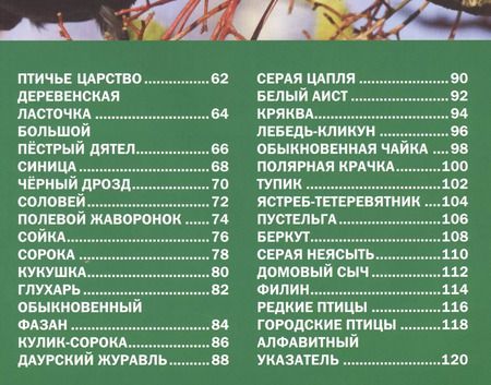 Фотография книги "Звери и птицы России.Энциклопедия для детей"