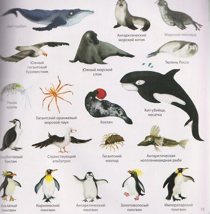 Фотография книги "1000 картинок. Животные мира"